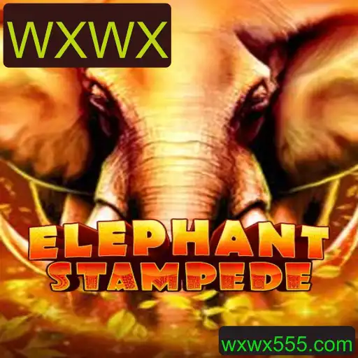 Desvendando ElephantStampede: A Excitante Aventura de WXWX