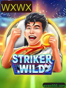 StrikerWILD: Um Mergulho no Mundo de WXWX