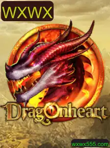 DragonHeart: Explorando o Mundo de WXWX